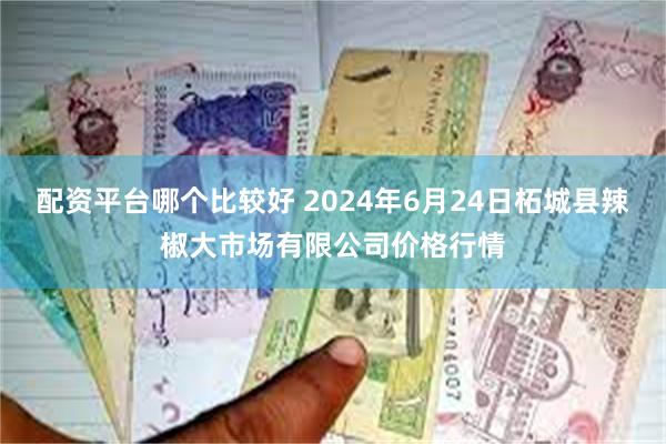 配资平台哪个比较好 2024年6月24日柘城县辣椒大市场有限公司价格行情