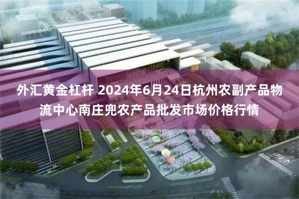 外汇黄金杠杆 2024年6月24日杭州农副产品物流中心南庄兜农产品批发市场价格行情