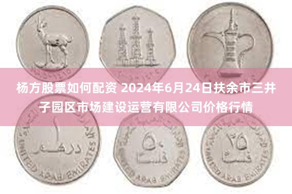 杨方股票如何配资 2024年6月24日扶余市三井子园区市场建设运营有限公司价格行情