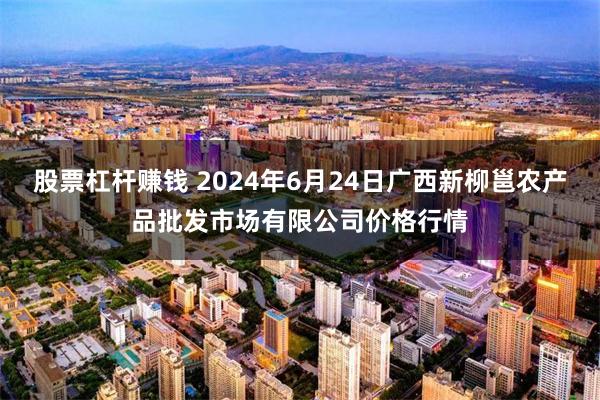 股票杠杆赚钱 2024年6月24日广西新柳邕农产品批发市场有限公司价格行情