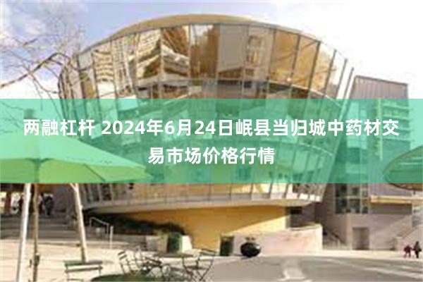 两融杠杆 2024年6月24日岷县当归城中药材交易市场价格行情