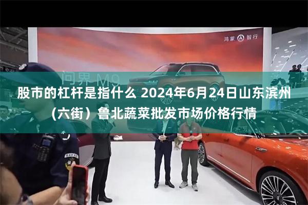 股市的杠杆是指什么 2024年6月24日山东滨州(六街）鲁北蔬菜批发市场价格行情