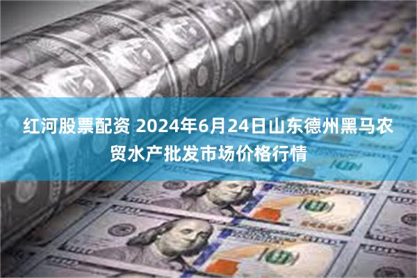 红河股票配资 2024年6月24日山东德州黑马农贸水产批发市场价格行情