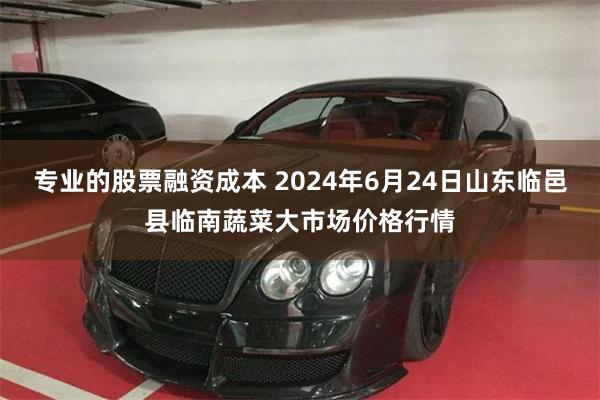 专业的股票融资成本 2024年6月24日山东临邑县临南蔬菜大市场价格行情