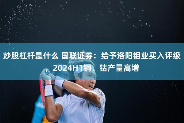 炒股杠杆是什么 国联证券：给予洛阳钼业买入评级，2024H1铜、钴产量高增