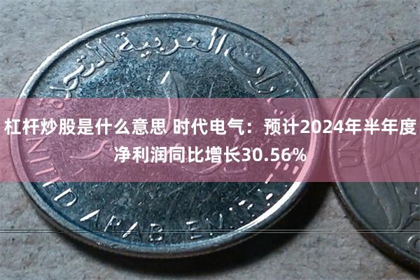 杠杆炒股是什么意思 时代电气：预计2024年半年度净利润同比增长30.56%