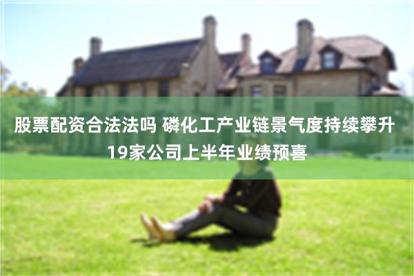 股票配资合法法吗 磷化工产业链景气度持续攀升 19家公司上半年业绩预喜