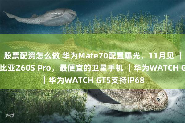 股票配资怎么做 华为Mate70配置曝光，11月见 ｜2999起，努比亚Z60S Pro，最便宜的卫星手机 ｜华为WATCH GT5支持IP68