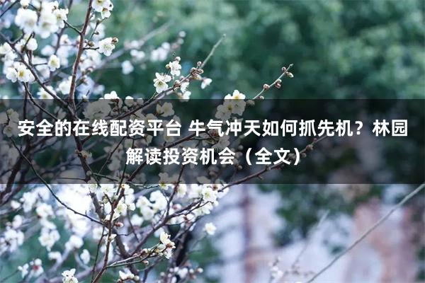 安全的在线配资平台 牛气冲天如何抓先机？林园解读投资机会（全文）